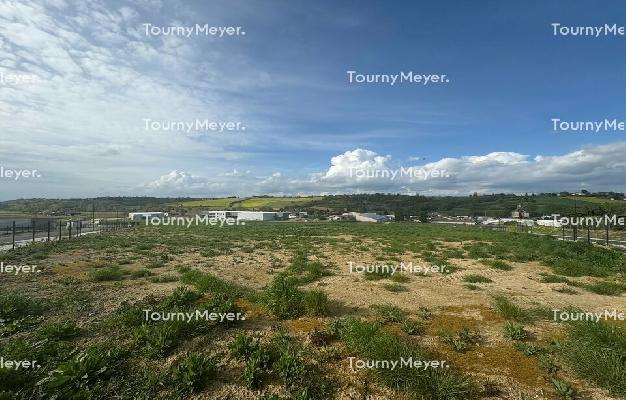 TERRAIN