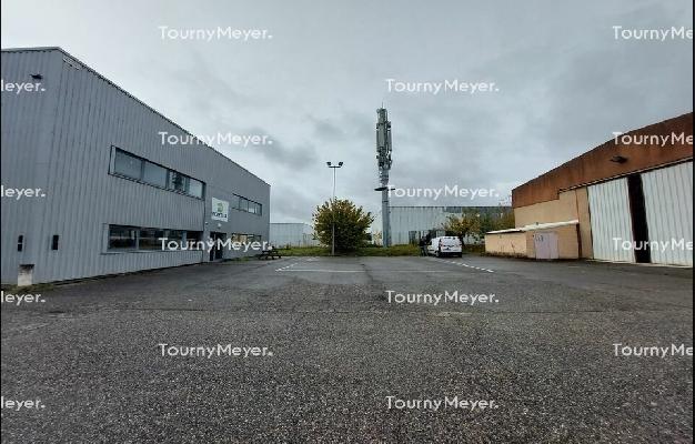 LOCAL D'ACTIVITES