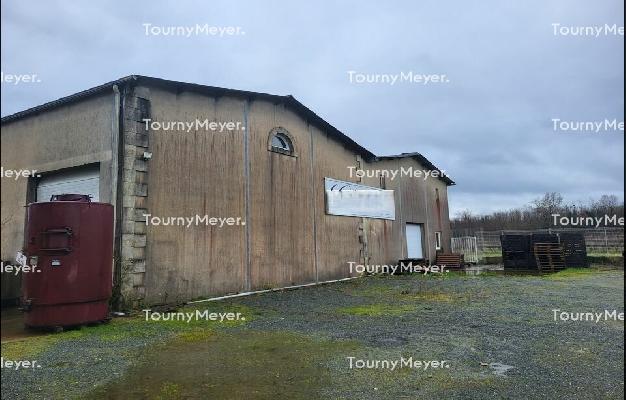 LOCAL D'ACTIVITES