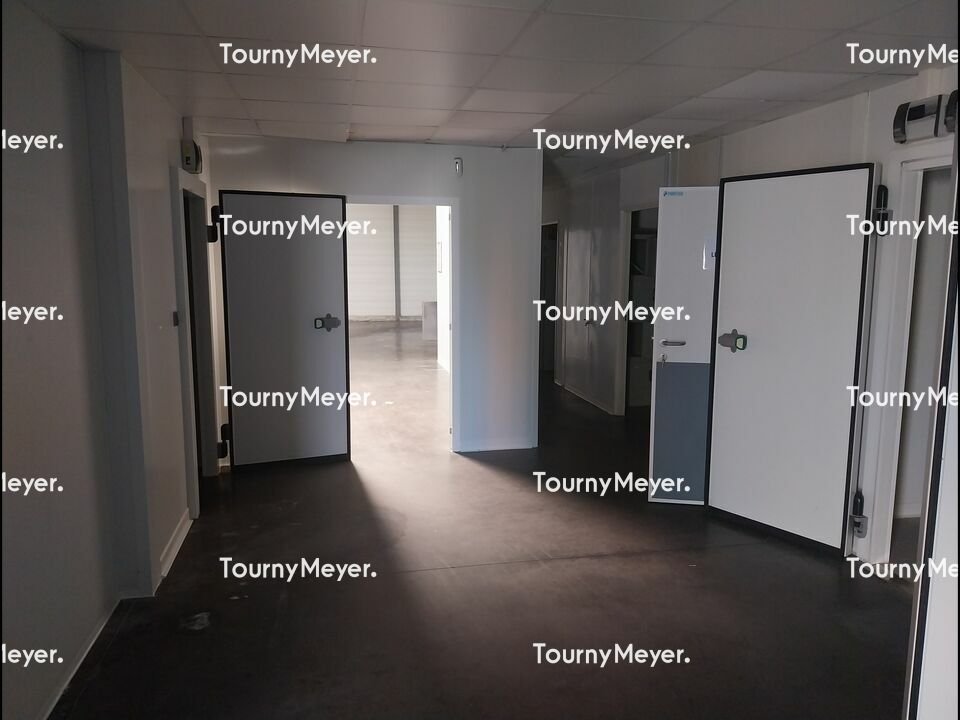 LOCAL D'ACTIVITES