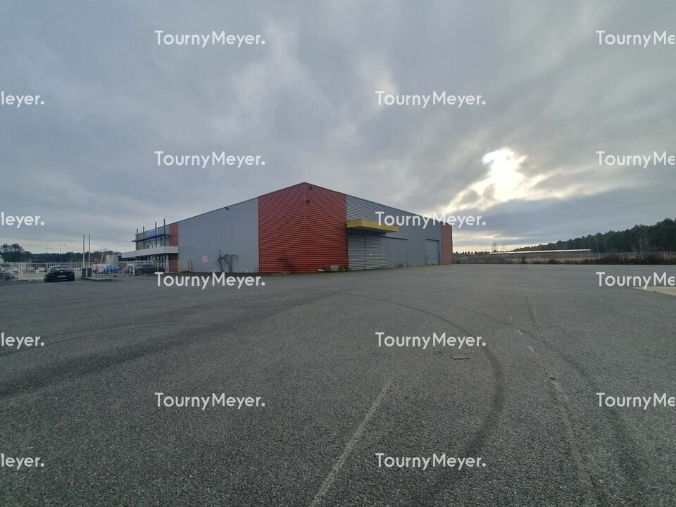 LOCAL D'ACTIVITES