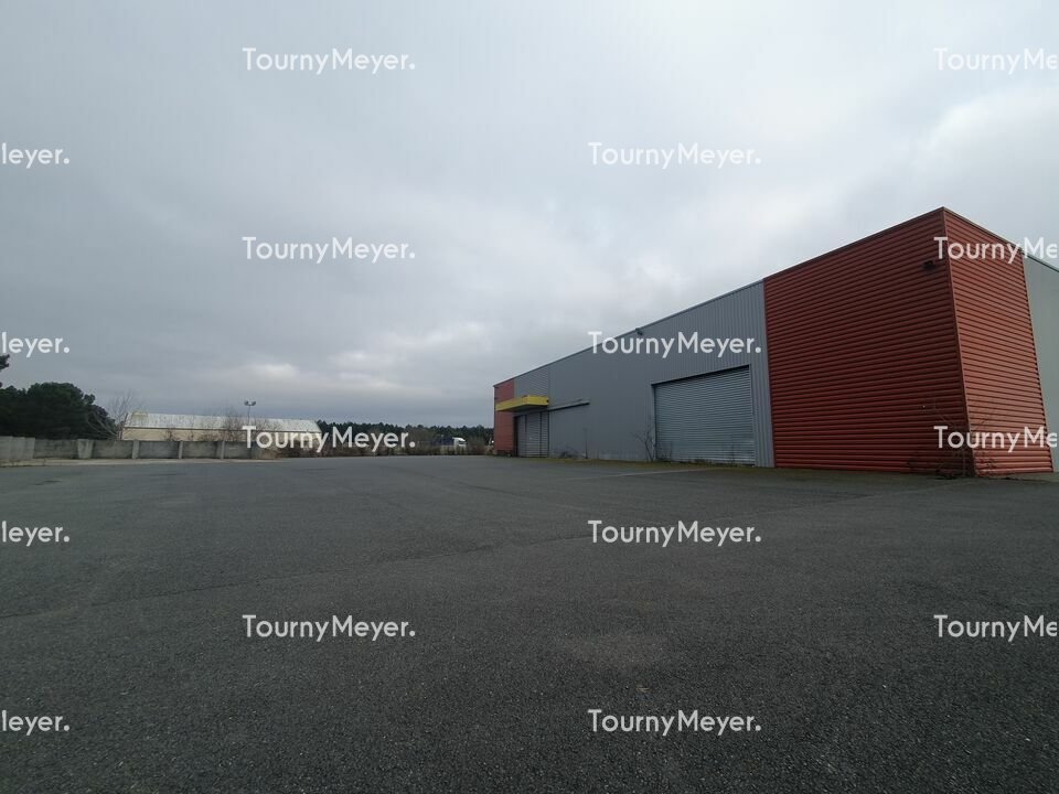 LOCAL D'ACTIVITES