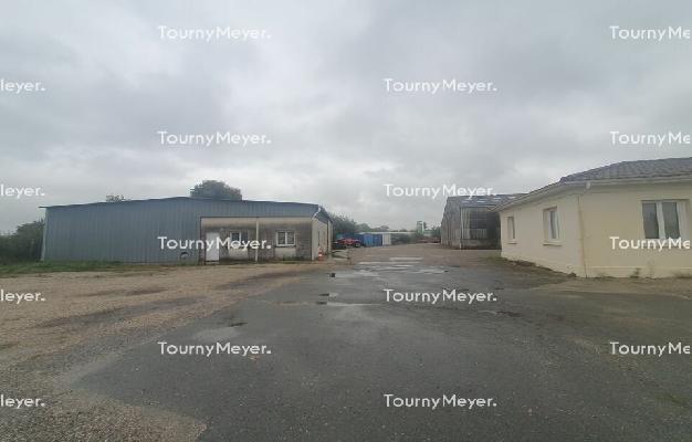 LOCAL D'ACTIVITES