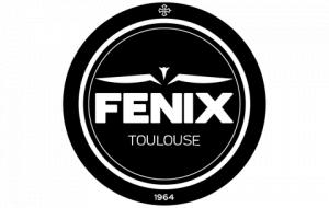 Toulouse Fenix Handball Logo